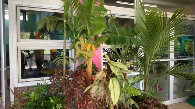 Agri Expo SVG/Arnos Vale смотреть онлайн