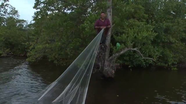 IMAGENES PUERTO CORES, MANGLAR смотреть онлайн