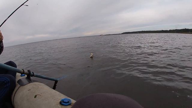 РЫБАЛКА НА ЩУКУ В СЕНТЯБРЕ СО СЛАВОЙ ЛАДОГА КОШКИНО смотреть онлайн