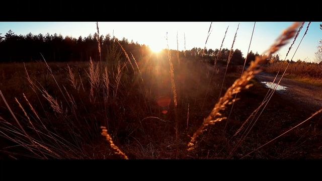 Jungle safari || poland tychy смотреть онлайн