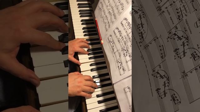 Фрагмент урока Online Tchaikovsky Seasons Op.37bis January Чайковский Времена года Op.37bis Январь