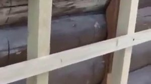 Обшивка бревенчатого дома сайдингом своими руками(№4)