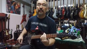 Обзор электрогитары Black Dog от Aria Pro II