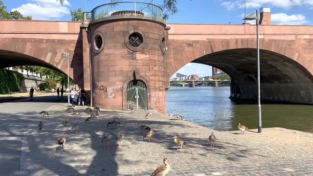 Frankfurt Germany ?? | The Tiny Streets Of Frankfurt | 4K Walking Tour