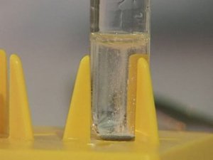 Химия. Опыты. Неорганика. Взаимодействие серной кислоты с металлами