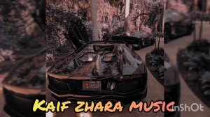 Лилу45 - Гладиолусы