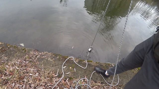 Поисковый магнит/Рыбалка на поисковый магнит/тестируем поисковый магнит первый раз.#поисковыймагнит смотреть онлайн