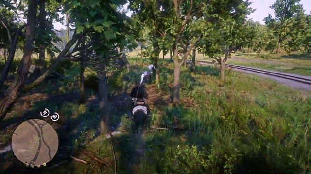 Missouri Fox Trotter For Arthur No Tracking, No Stagecoach, Easy, Red Dead Redemption 2