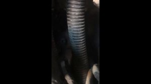 Citroen C3 1.4hdi starter removal