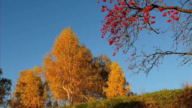 Autumn Leaves (AS Piano)