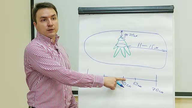 Основы и принципы нанесения порчи и сглаз человека смотреть онлайн