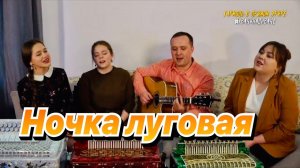 Ансамбль ПТАШИЦА - Ночка луговая - Месяц спрятался за рощу   Песня для души