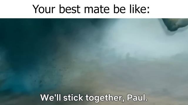 School be like смотреть онлайн