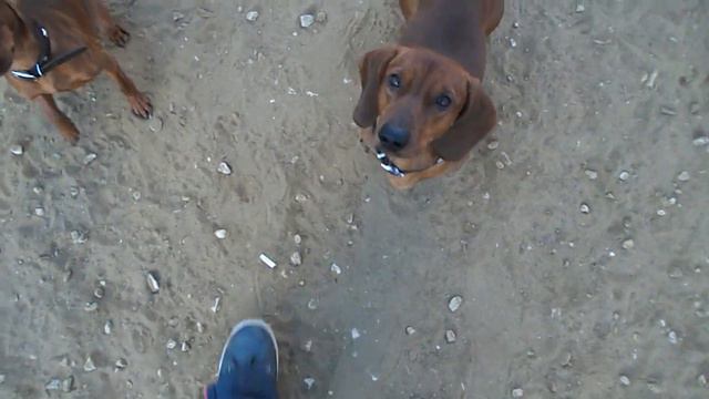 команда аут смотреть онлайн