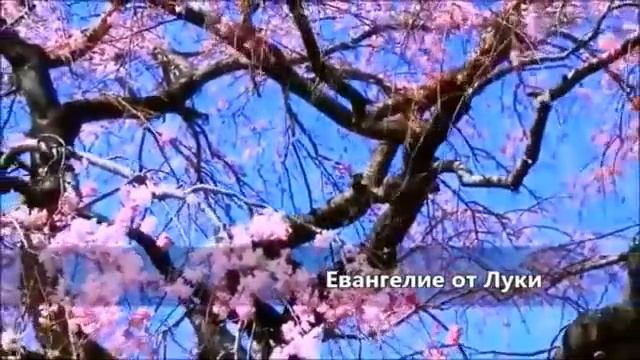 Евангелие От Луки
