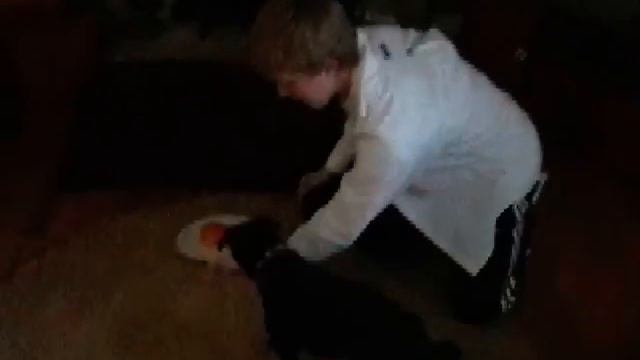 Fantasma Burger Ad by Daniel and Kyle смотреть онлайн