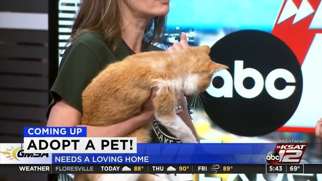 Good Morning San Antonio : Apr 20, 2022 смотреть онлайн