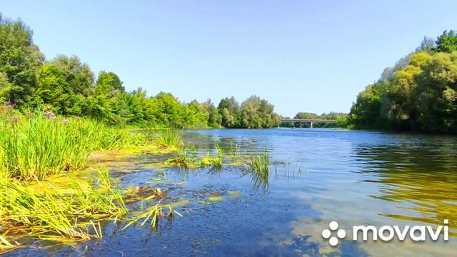 Сейм🏊,трасса Сумы - Путивль 😳/шашлык 😋. смотреть онлайн