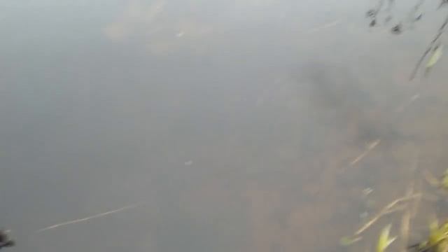 Деревенские будни. Отдых в деревне. смотреть онлайн