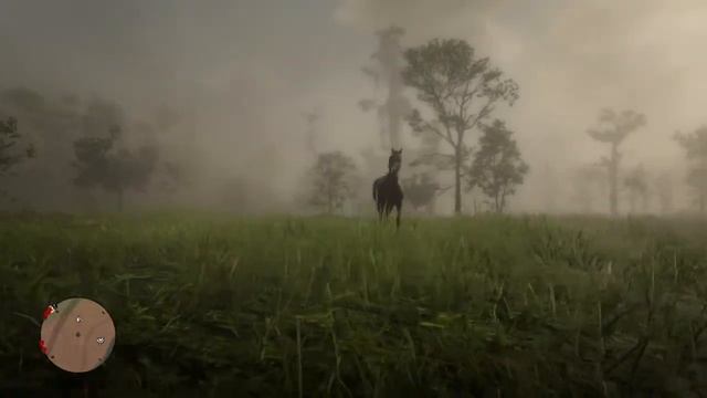 Арабская лошадь в Red Dead Redemption 2. Потрясающая графика смотреть онлайн