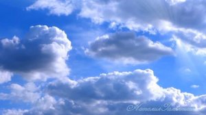 Настрой Георгия Сытина - Тотальное уничтожение всех новообразований