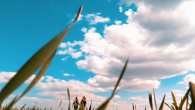 какие просторы, ни зря мы прошли с лп такое расстояние