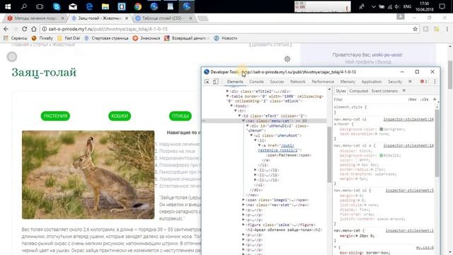Уроки по Ucoz. Как создать вертикальное, горизонтальное и выпадающие  меню для сайта на Ucoz?