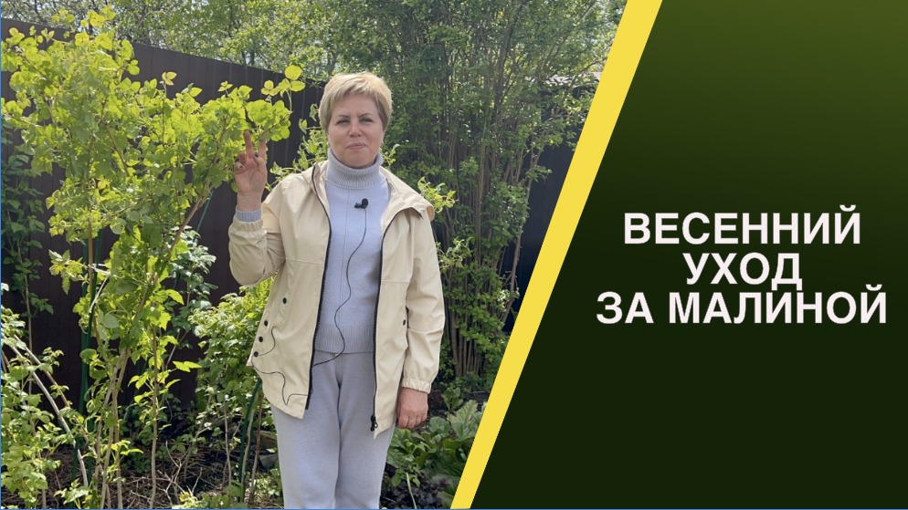 ОСНОВНЫЕ МЕРОПРИЯТИЯ В МАЛИННИКЕ ВЕСНОЙ! смотреть онлайн