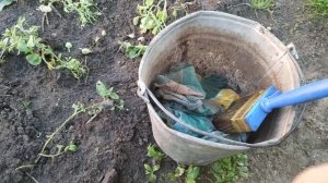 Чем покрасить сруб, я выбрал масло самовозгороние ветоши пока вытирал  стены тряпки задымились