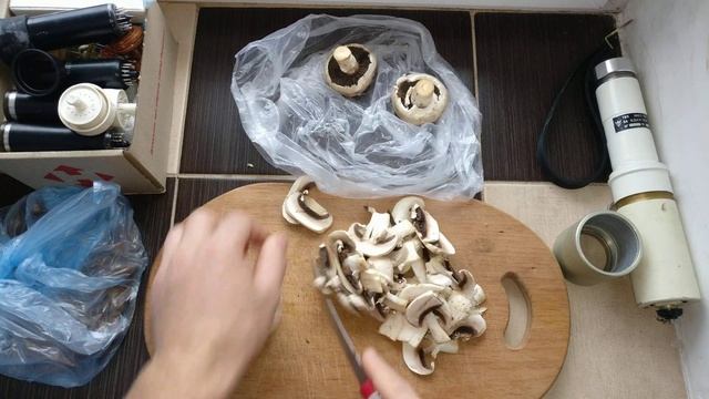 (часть3)☢ Радиоактивные грибы! в Киеве. Подготовка для спектрометрического анализа+альфа,бета,гамма смотреть онлайн