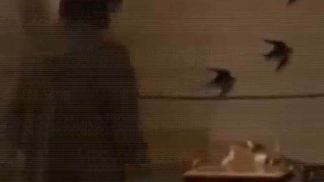 German Ganzer Filme auf Deutsch _ 42plus 2007 смотреть онлайн