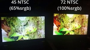 45 NTSC VS 72 NTSC