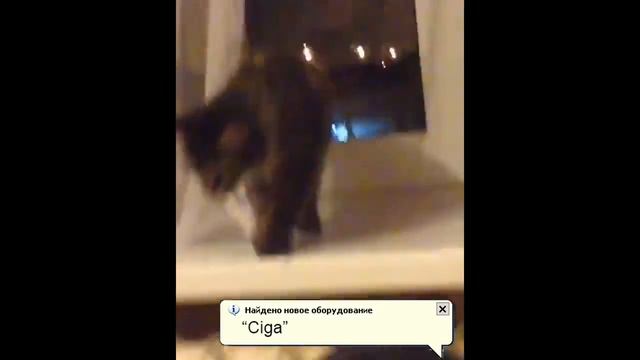 +100500 кот и сигарета смотреть онлайн