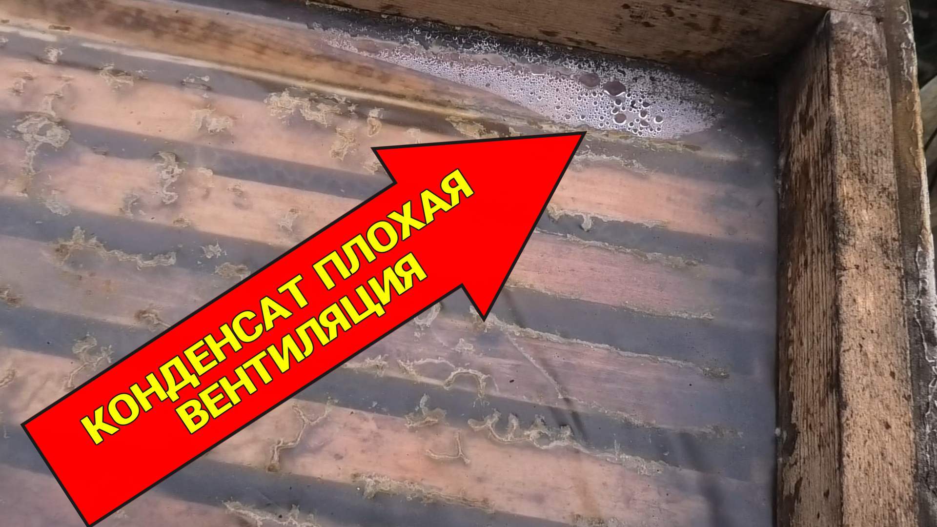 КОНТРОЛЬ ВЕНТИЛЯЦИИ СЕМЕЙ,ЗИМОВКА НА УЛИЦЕ смотреть онлайн