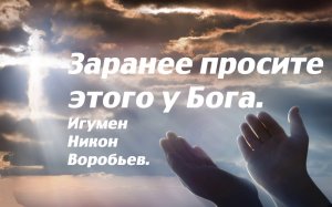 Не огорчайтесь, что годы уходят. Не бойтесь будущего. Не верьте себе и людям. Игумен Никон Воробьев.