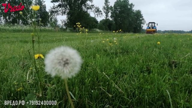 Луговые сеялки Vredo - дернинные машины для подсева трав в пастбище семян трав и сидератов смотреть онлайн