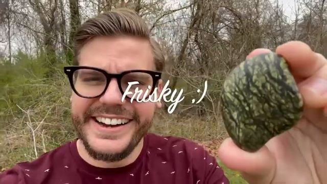 How to Use Serpentine "LUCKY CHARMS" Serpentine Benefits & Crystal Shopping смотреть онлайн