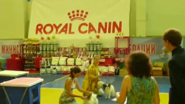 Выставка 03.08.2013 г. Чайковский смотреть онлайн