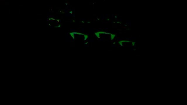 videoplayback46.mp4 смотреть онлайн