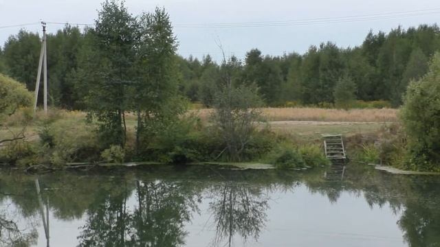 Природные красоты села Битягово Домодедовского района смотреть онлайн