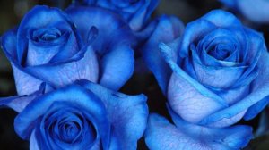 Олег Винник "Мої батьки"