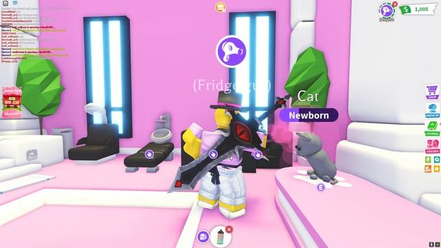 HOW TO GIT PINK CAT (adopt me) смотреть онлайн