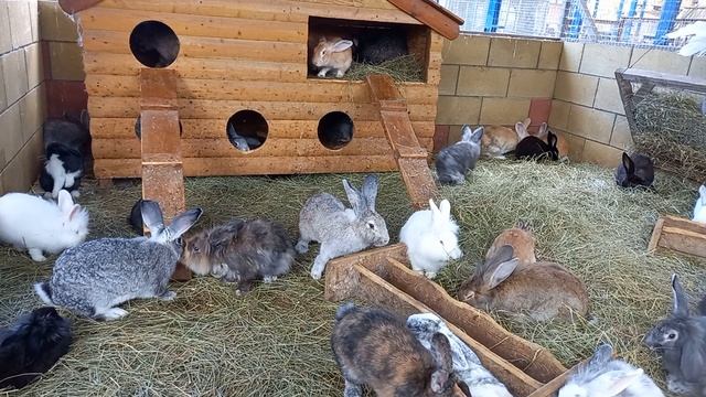 Как то Так здесь...