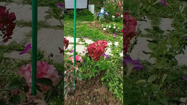 Самарская Лидия. 3 сентября 22г. смотреть онлайн