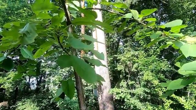 Дизайн и Оформление Сайтов