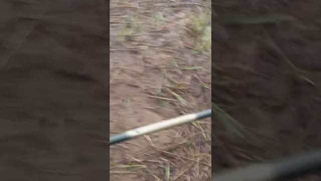 Рыбалка,ловля рыбы на реке ЮГ!! смотреть онлайн