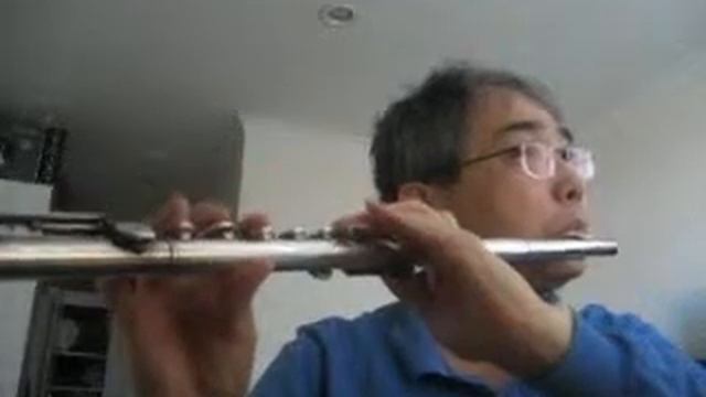 찬송가 Hymn - 365 장 - 내 주의 지신 십자가 - Pearl Nickel Flute смотреть онлайн