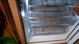 Обзор Инкубатор Норма Рейс на 630 яиц