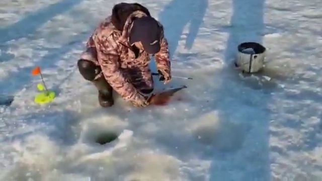 25 февраля 2022 г. смотреть онлайн