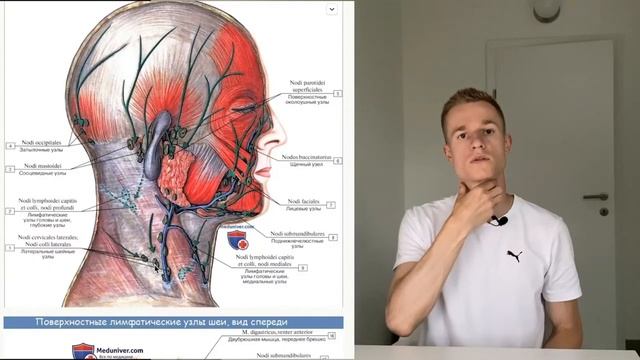 Золотые Ладони